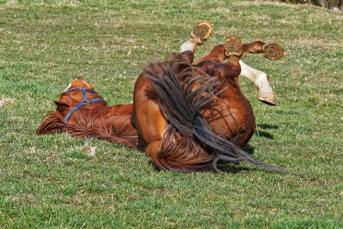 Frühlingsgefühle