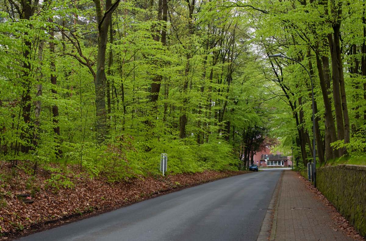 Frühlingsstrasse.jpg