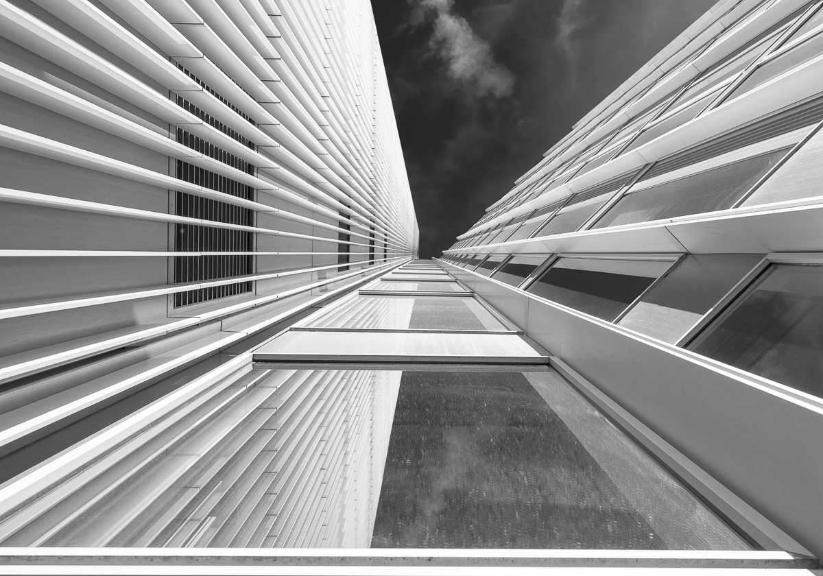Frankfurt-Fotosafari-2172-Bearbeitet.jpg