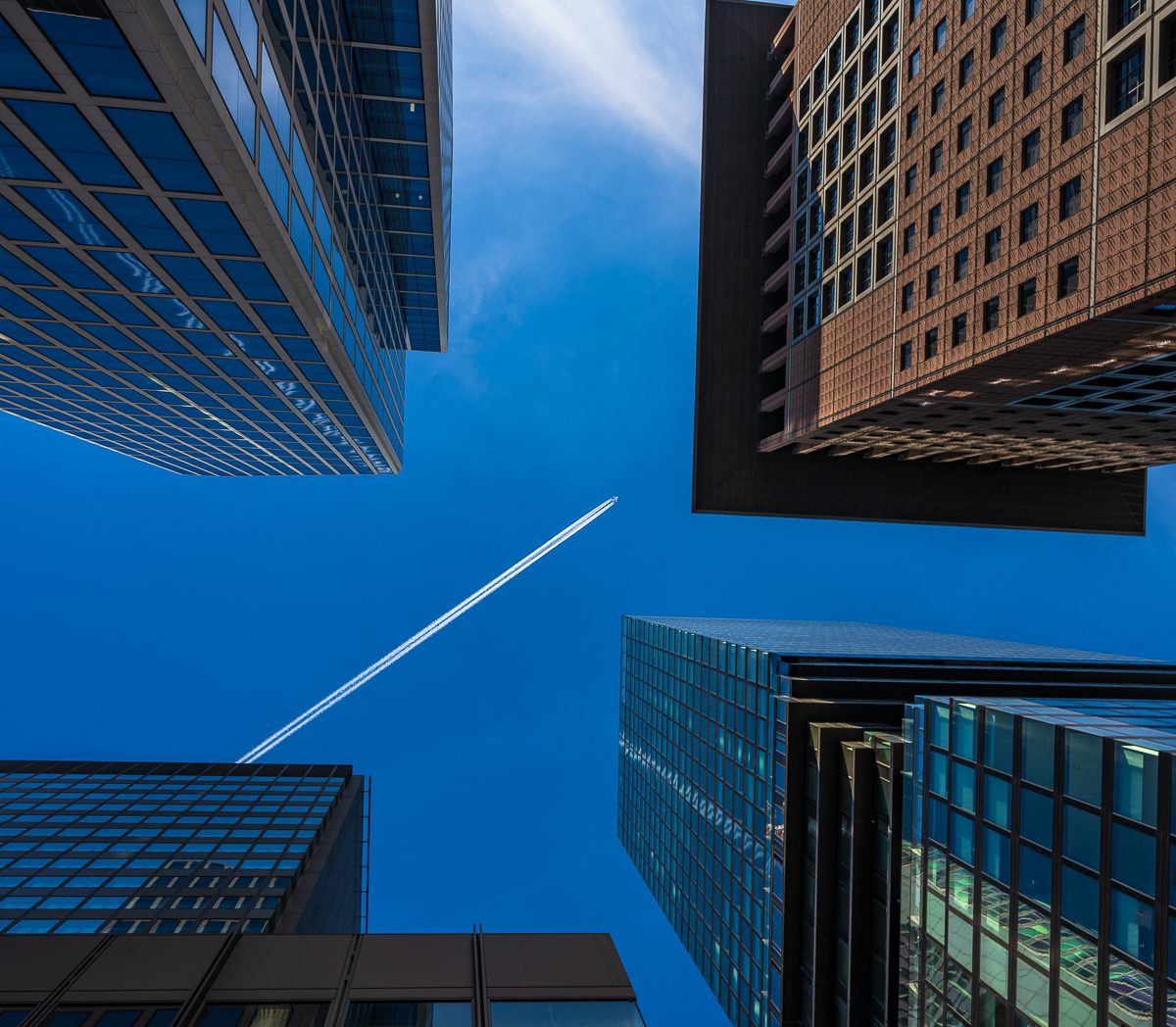Frankfurt-Fotosafari-2181-Bearbeitet.jpg