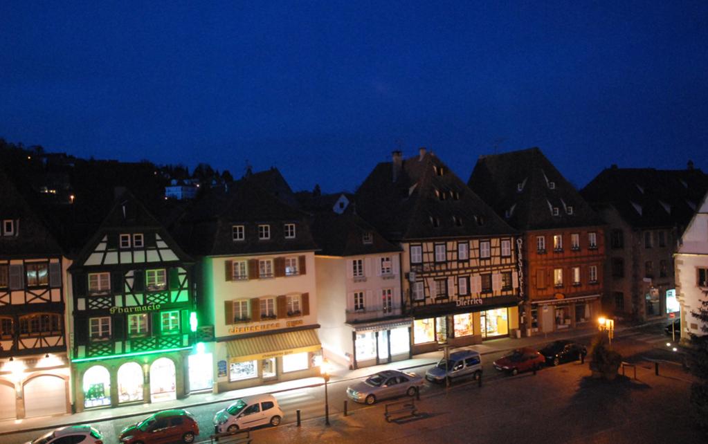 Frankreich, Obernai 22.02.10