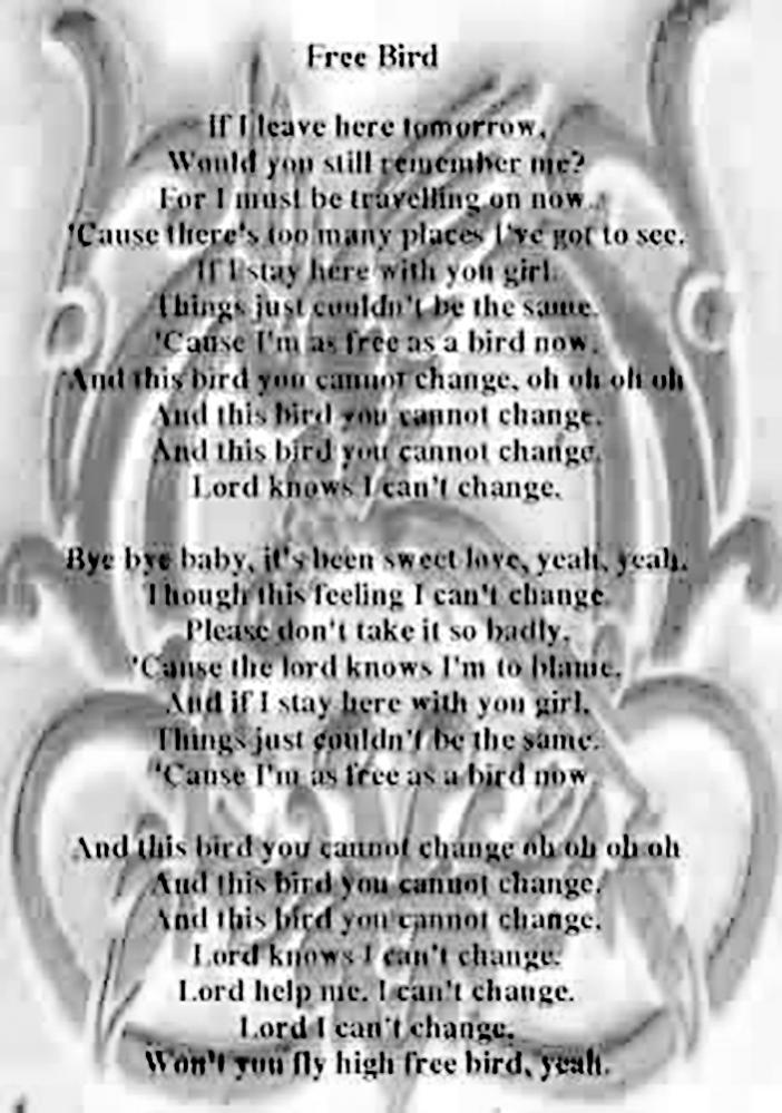 free bird