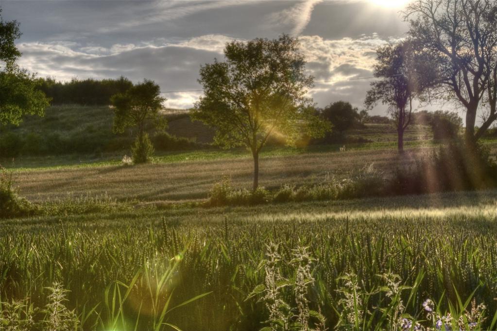 Freihand 3 Bilder HDR