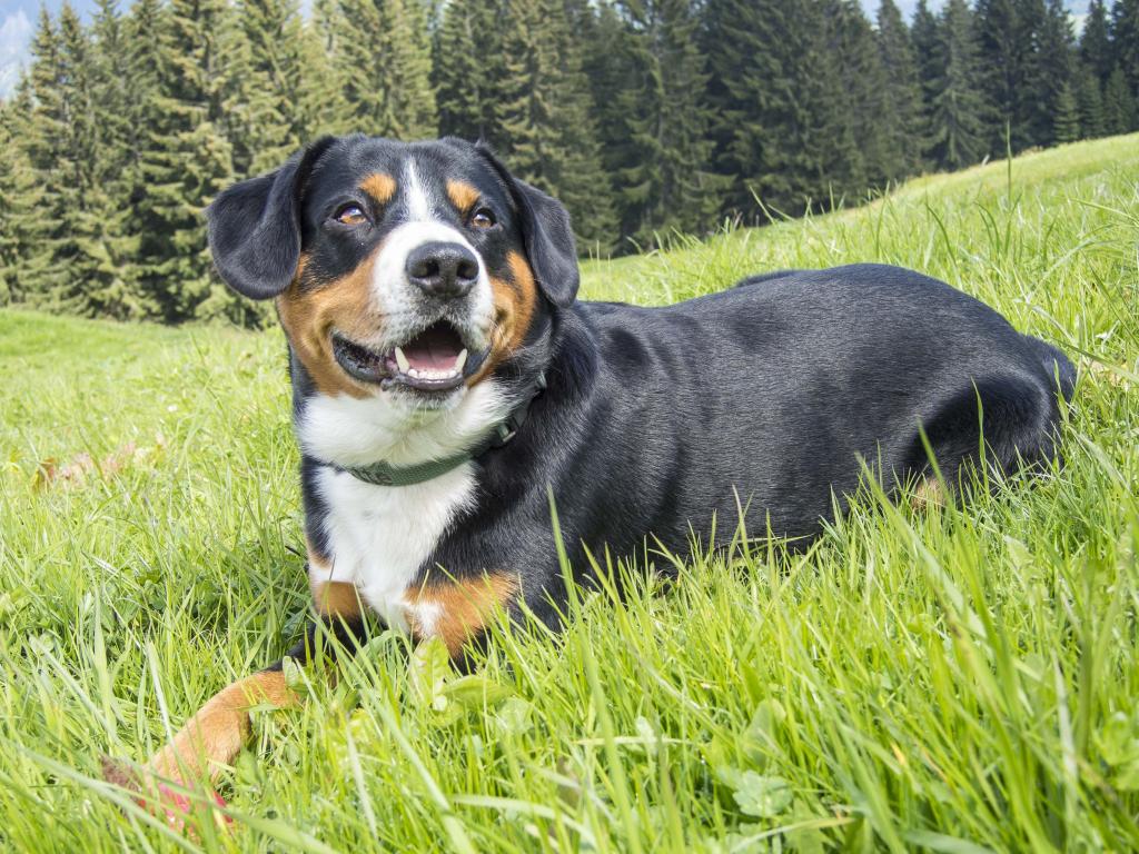 Freundlich und selbstbewußt