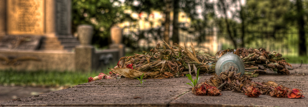 Friedhof Dalgow HDR 29