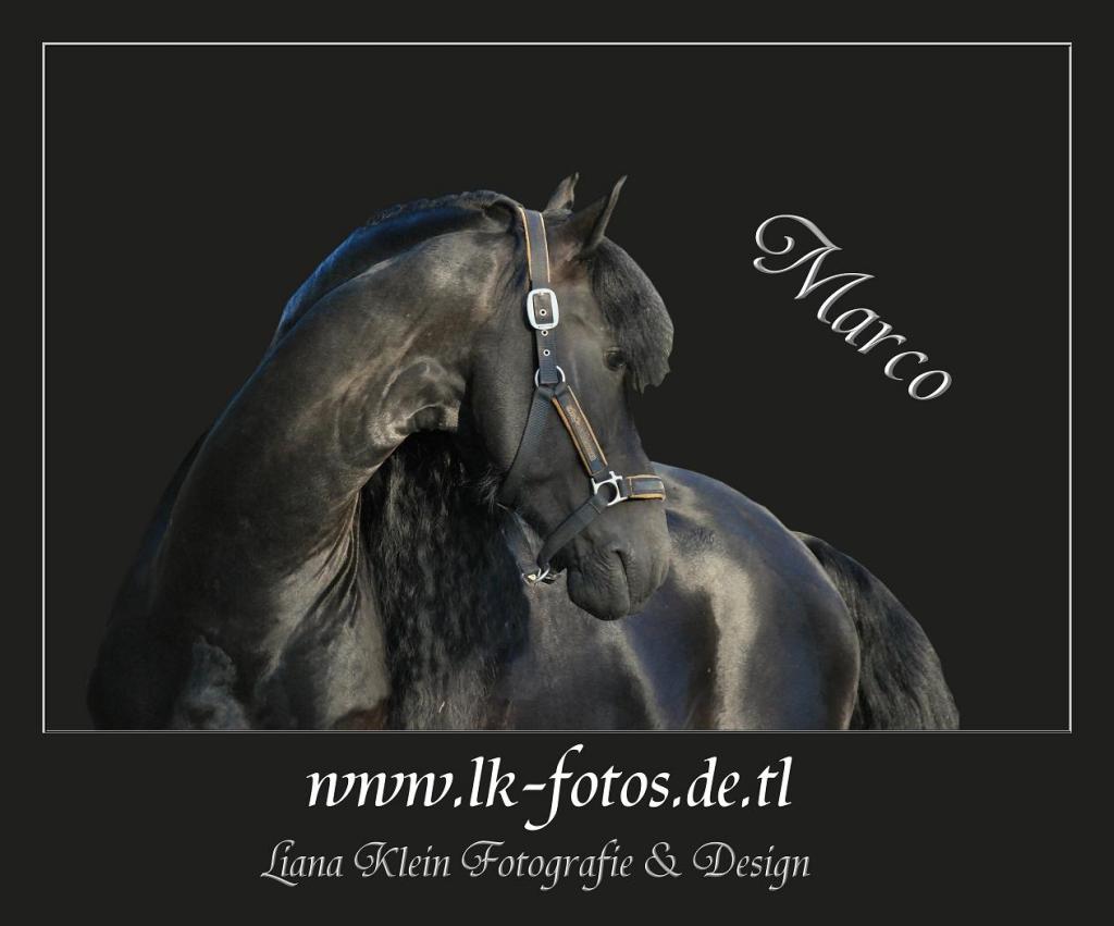 Friese
