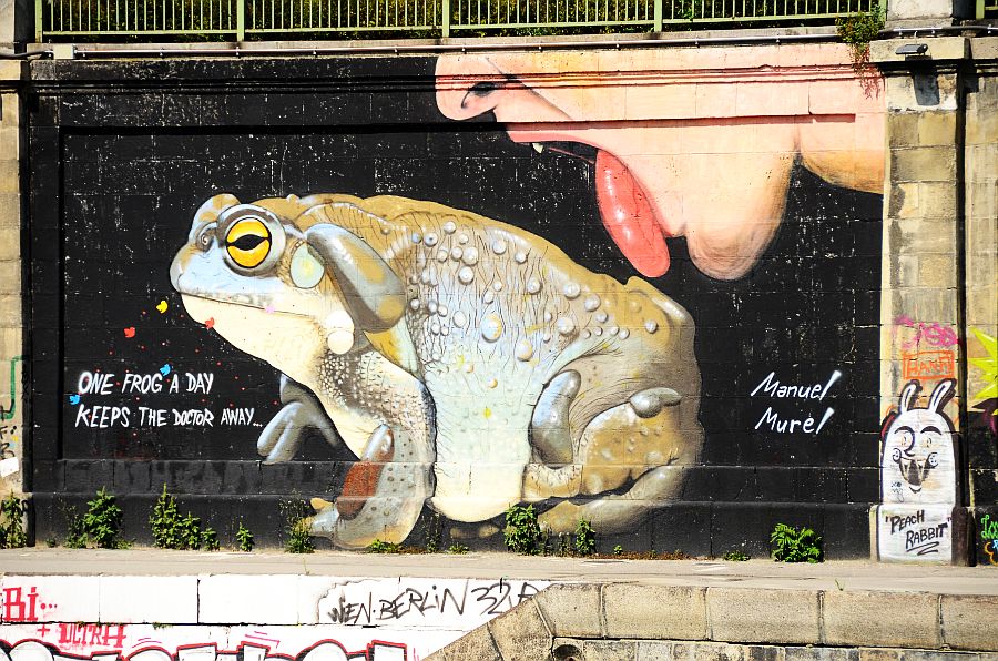 frog