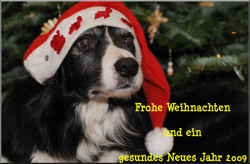 Frohe Festtage 2008