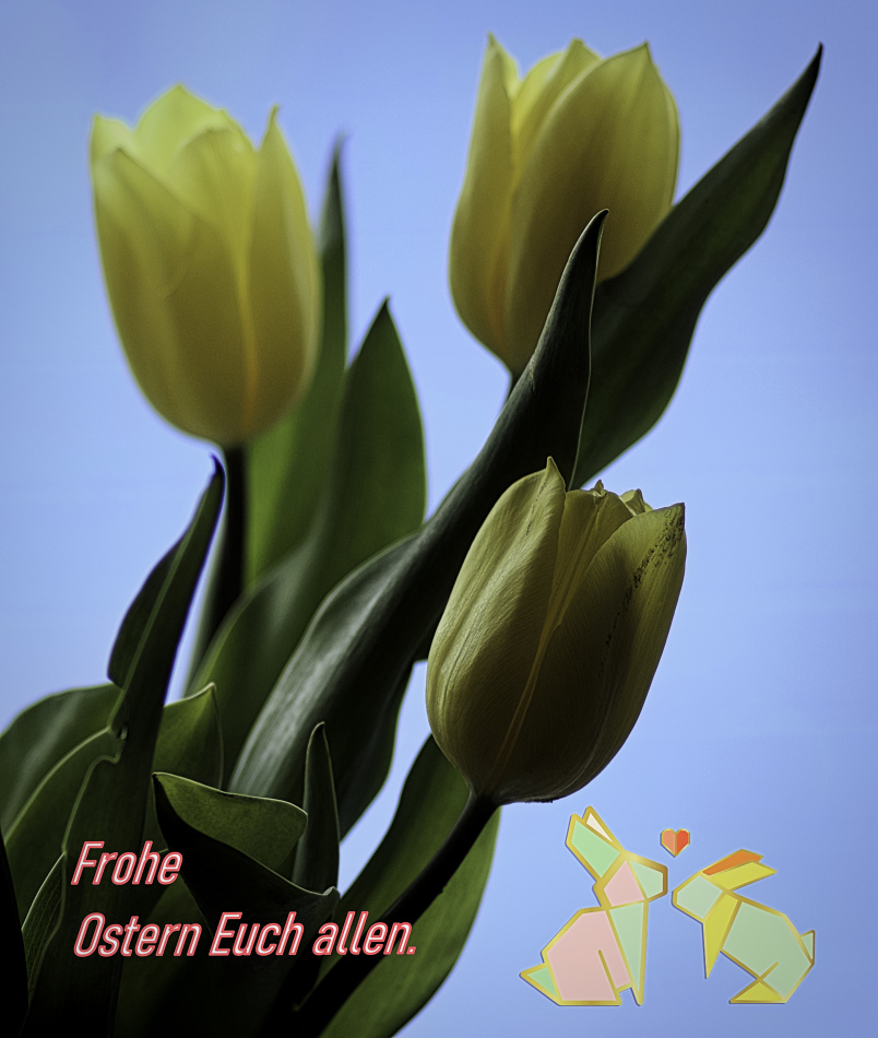 Frohe Ostern.jpg