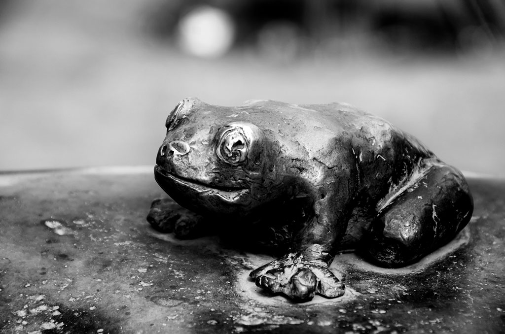 frosch brunnen