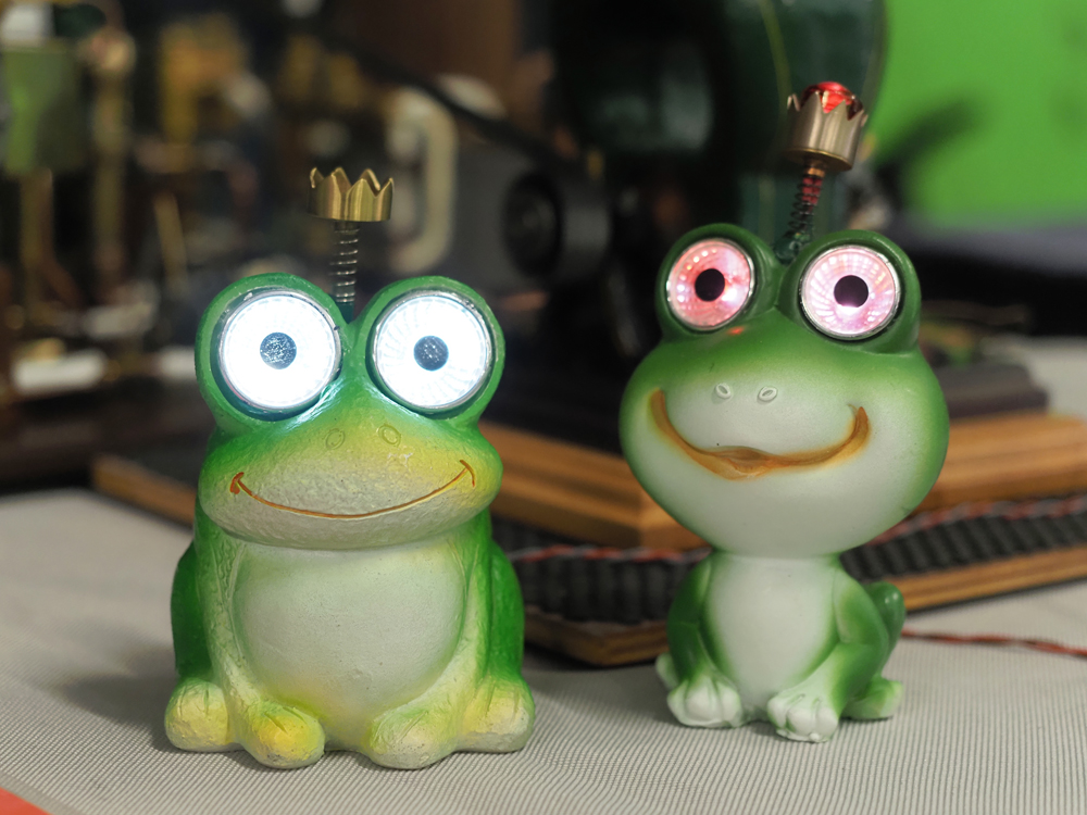 Froschkönig und -königin.jpg