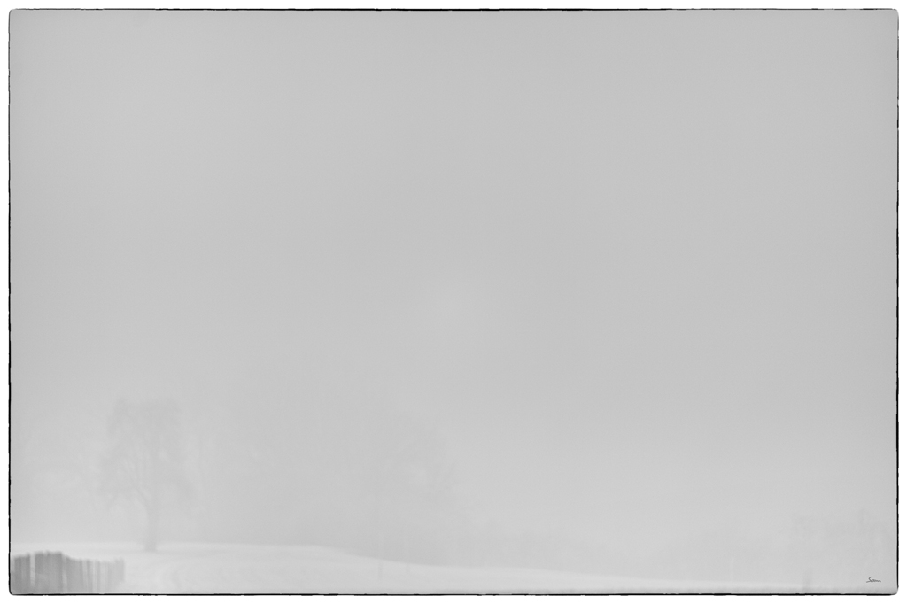 Frost PZ15428