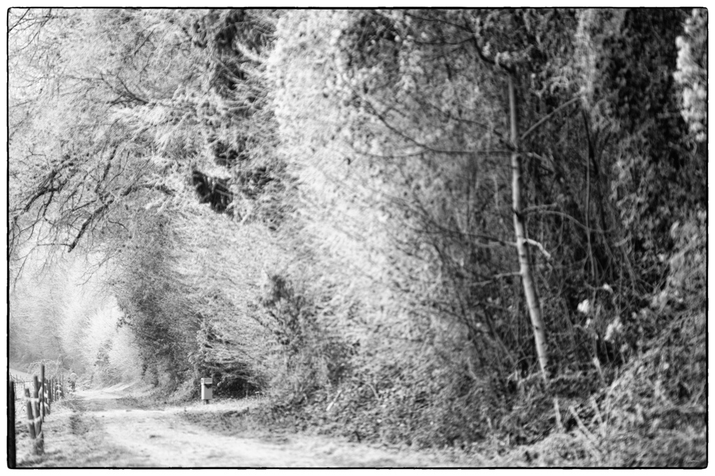 Frost PZ15446