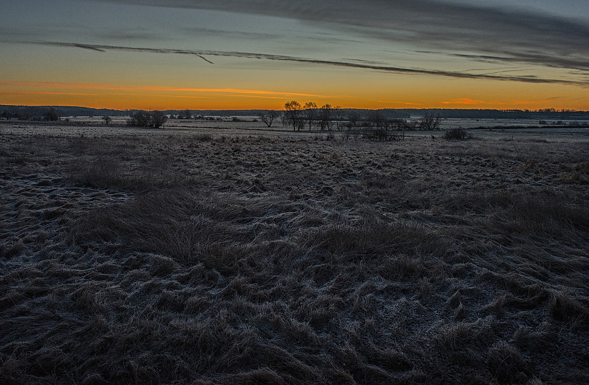 Frostmorgen 2