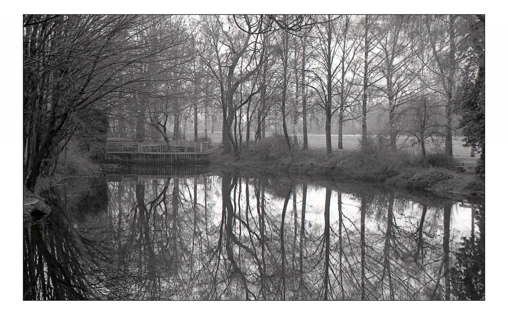 FT2 1.4/50, FP4