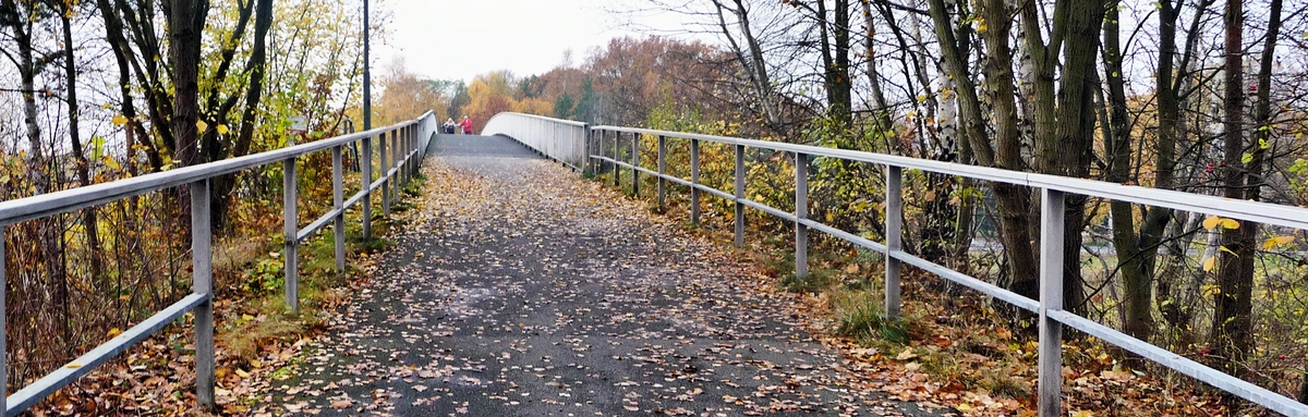 Fußgängerbrücke im Herbst.jpg