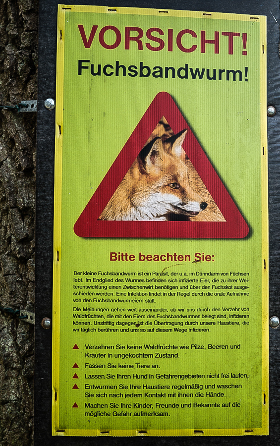 Fuchsbandwurm (1 von 1).jpg