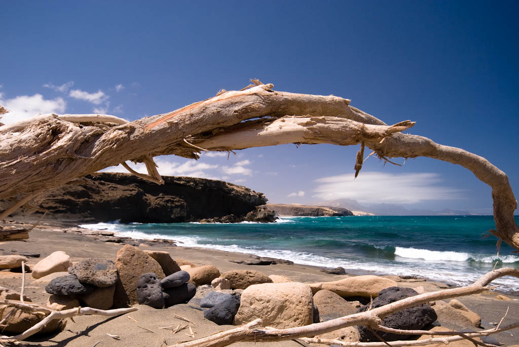 Fuerteventura 2008 122