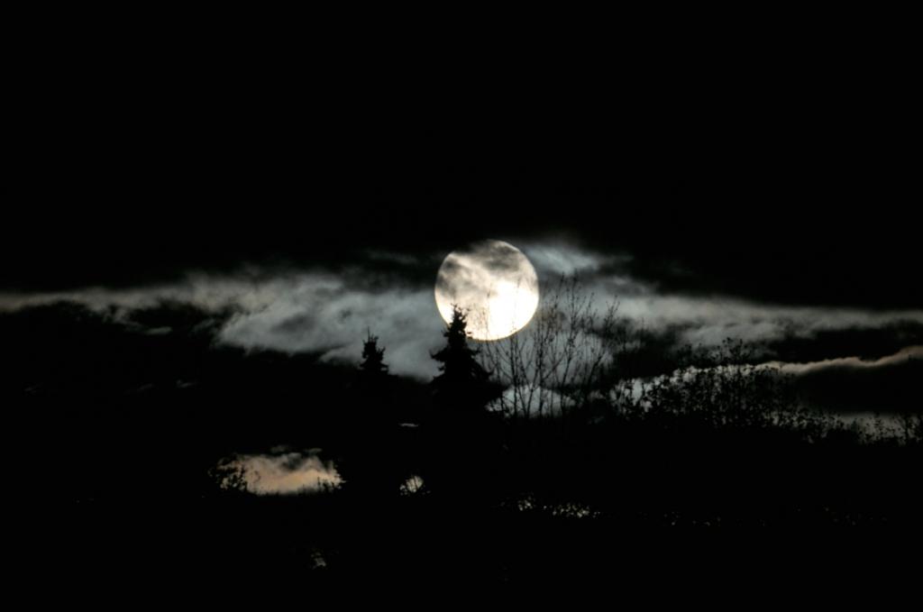 Fullmoon