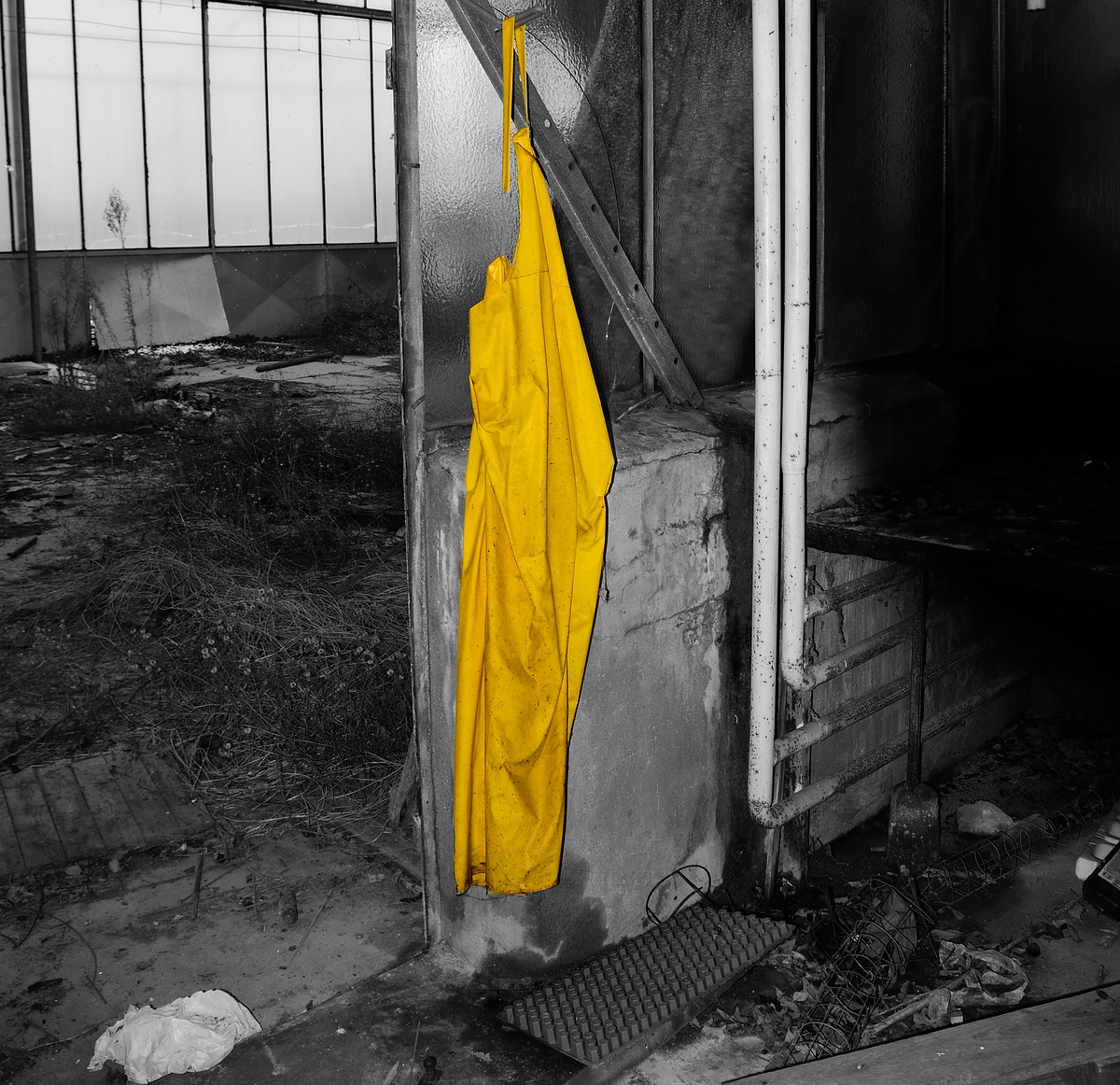 Gärtnerei Scherpenseel DSC0236 00051