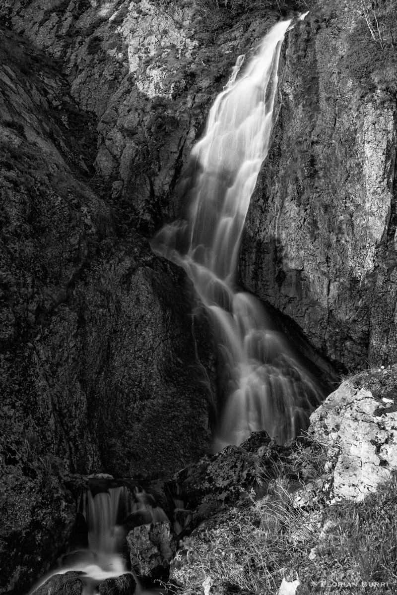 Gürbefall3