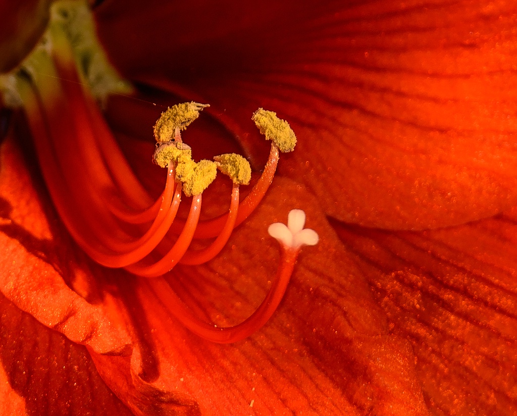 G000140 2c