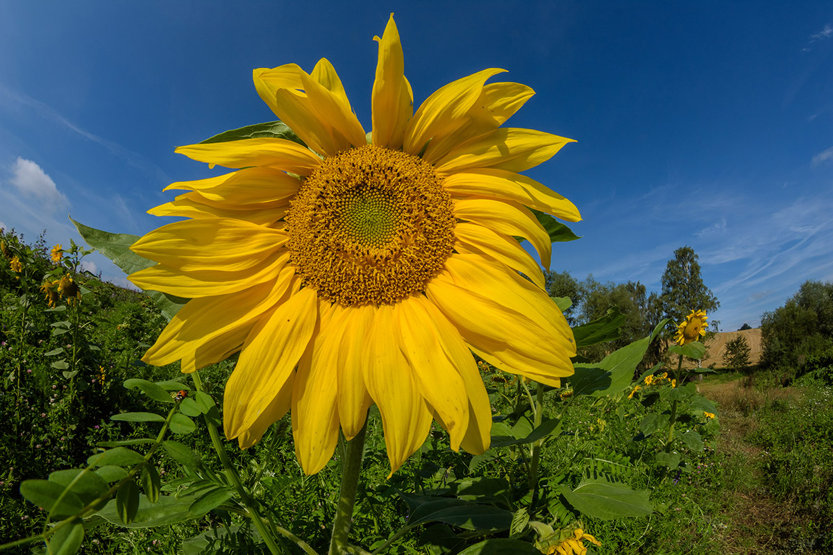 GA4_9776.jpg