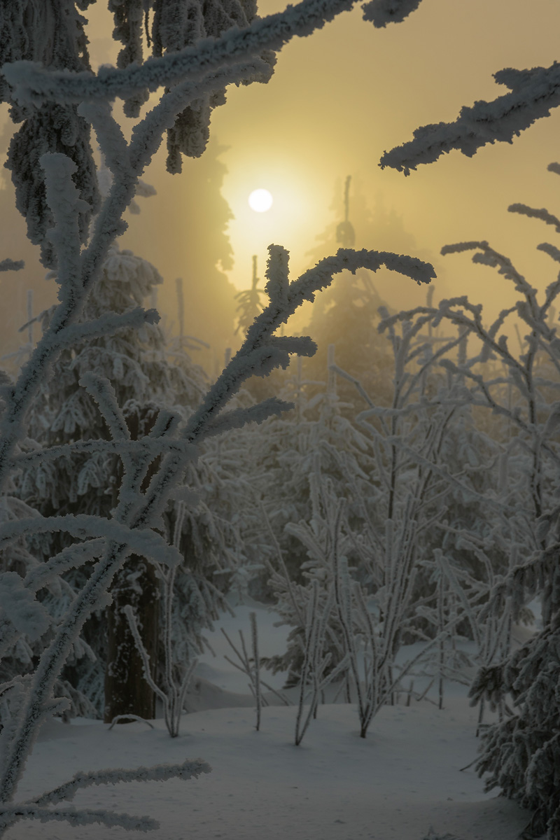 GA5_2115.jpg