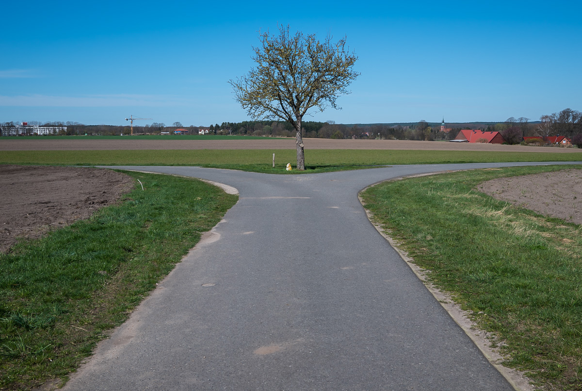 Gabelung (1 von 1).jpg