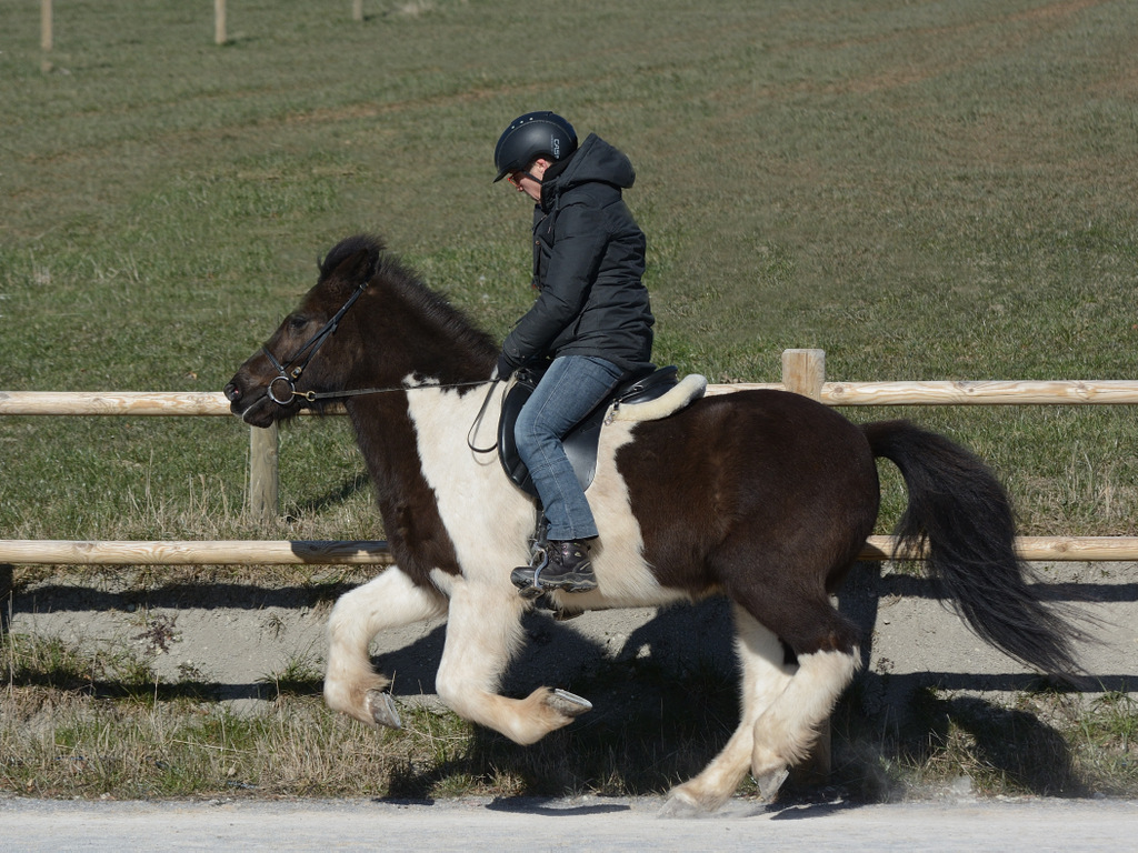 Gangarten 004