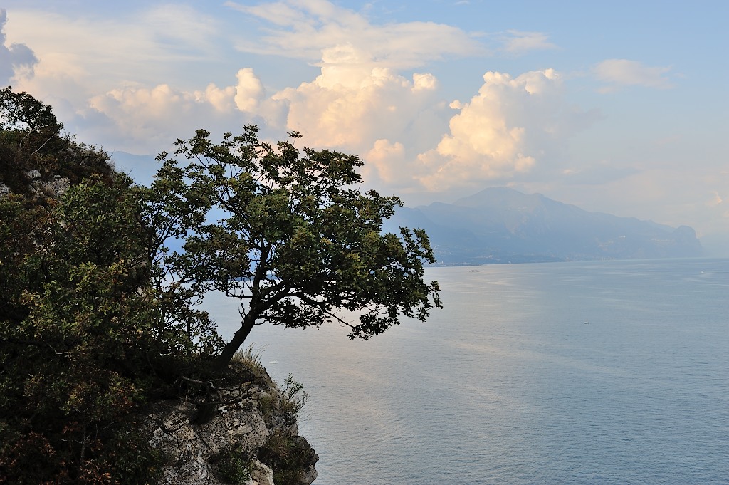 Gardasee