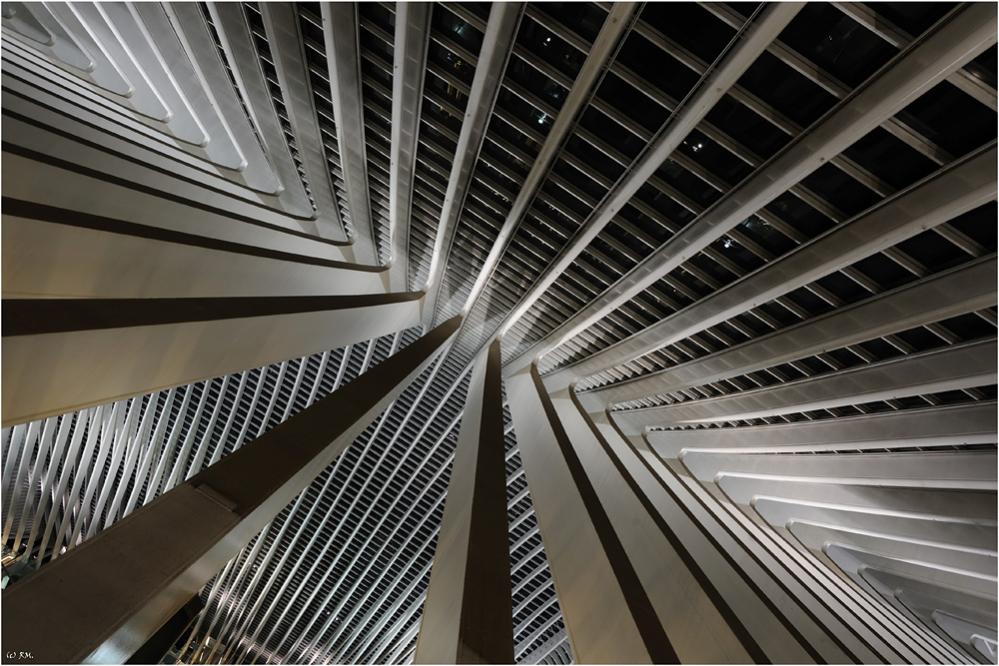 Gare Guillemins, Liege