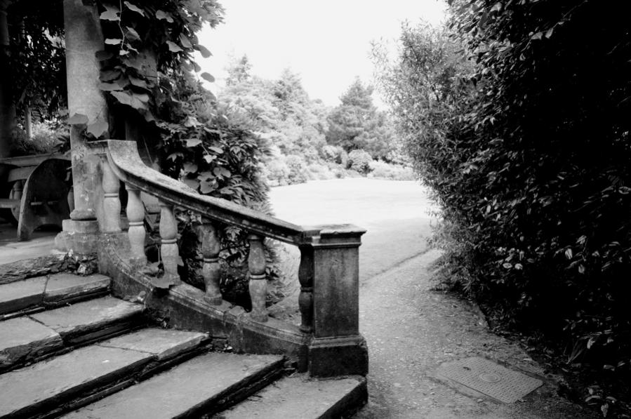 Garinish Island 
stairs bw
