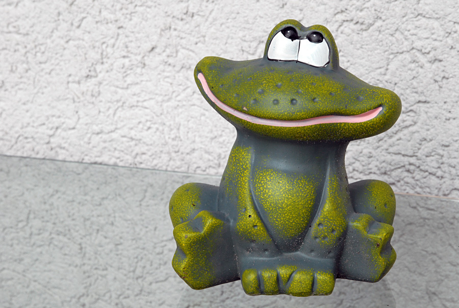 garten frosch