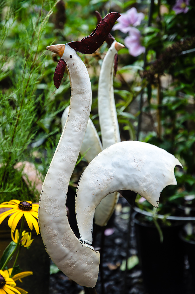 Gartenfest Gedern