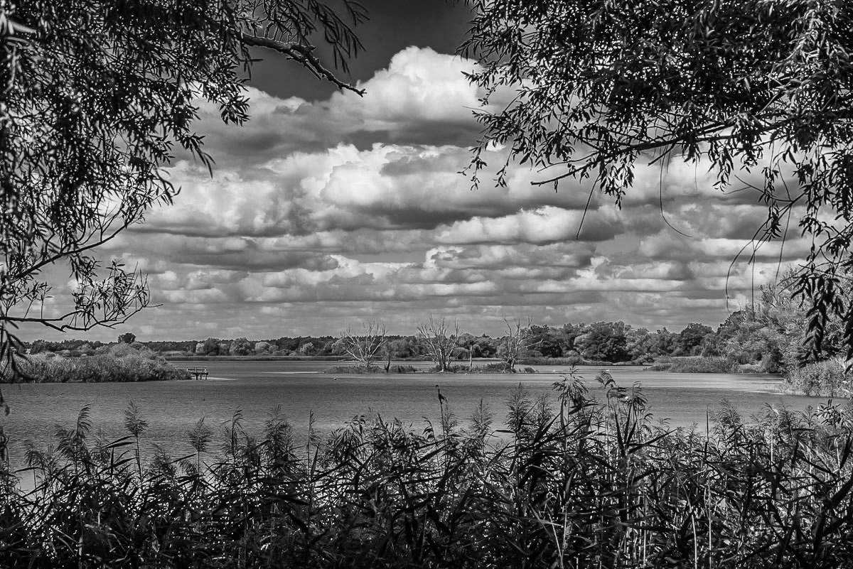 Gartower See BW (1 von 1).jpg