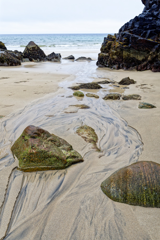 Gary Beach - Lewis 5.jpg