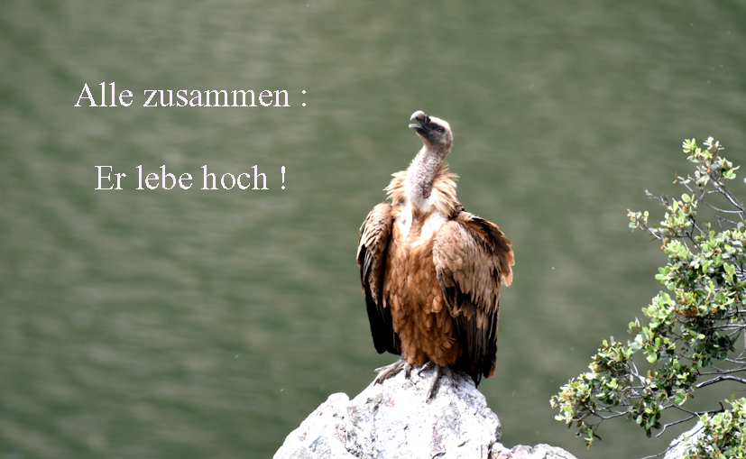 Geburtstag Kopie.jpg