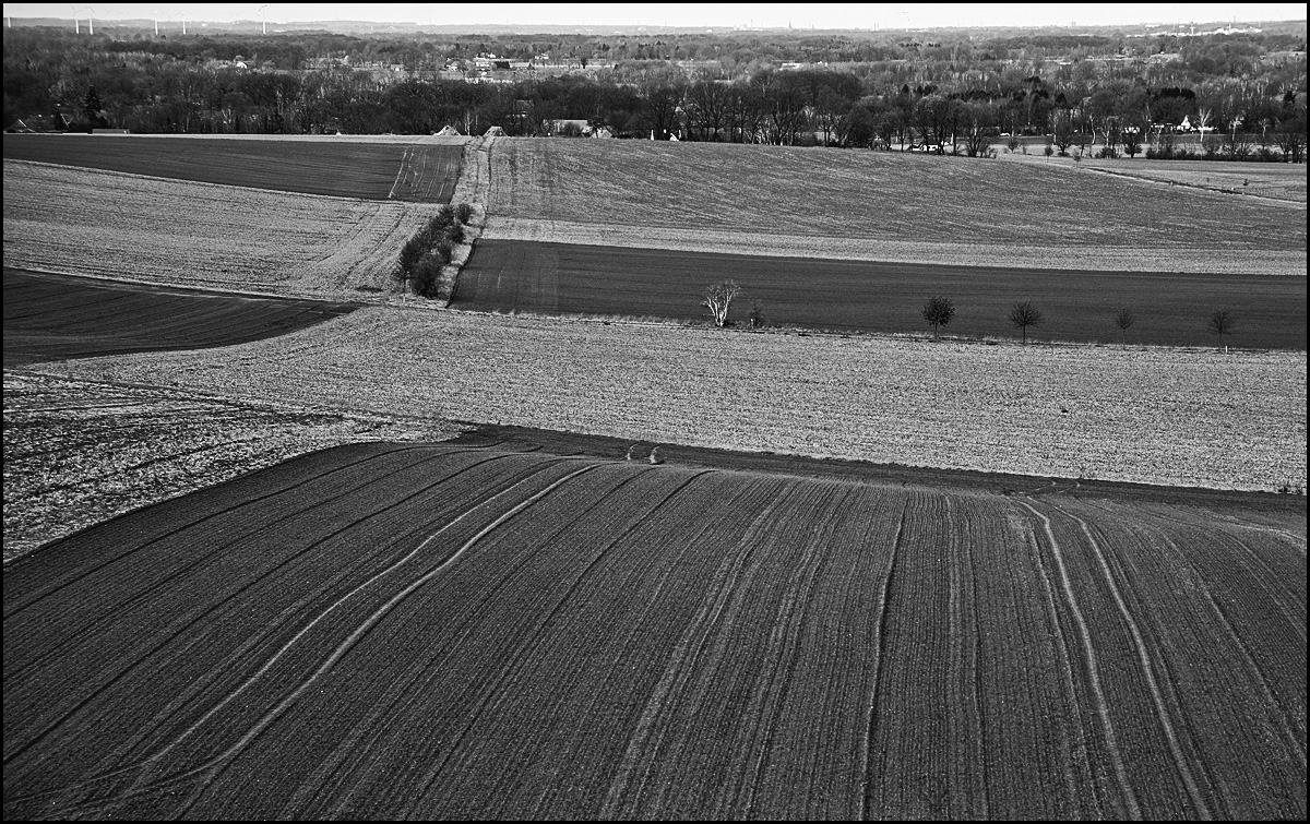 Geestlandschaft