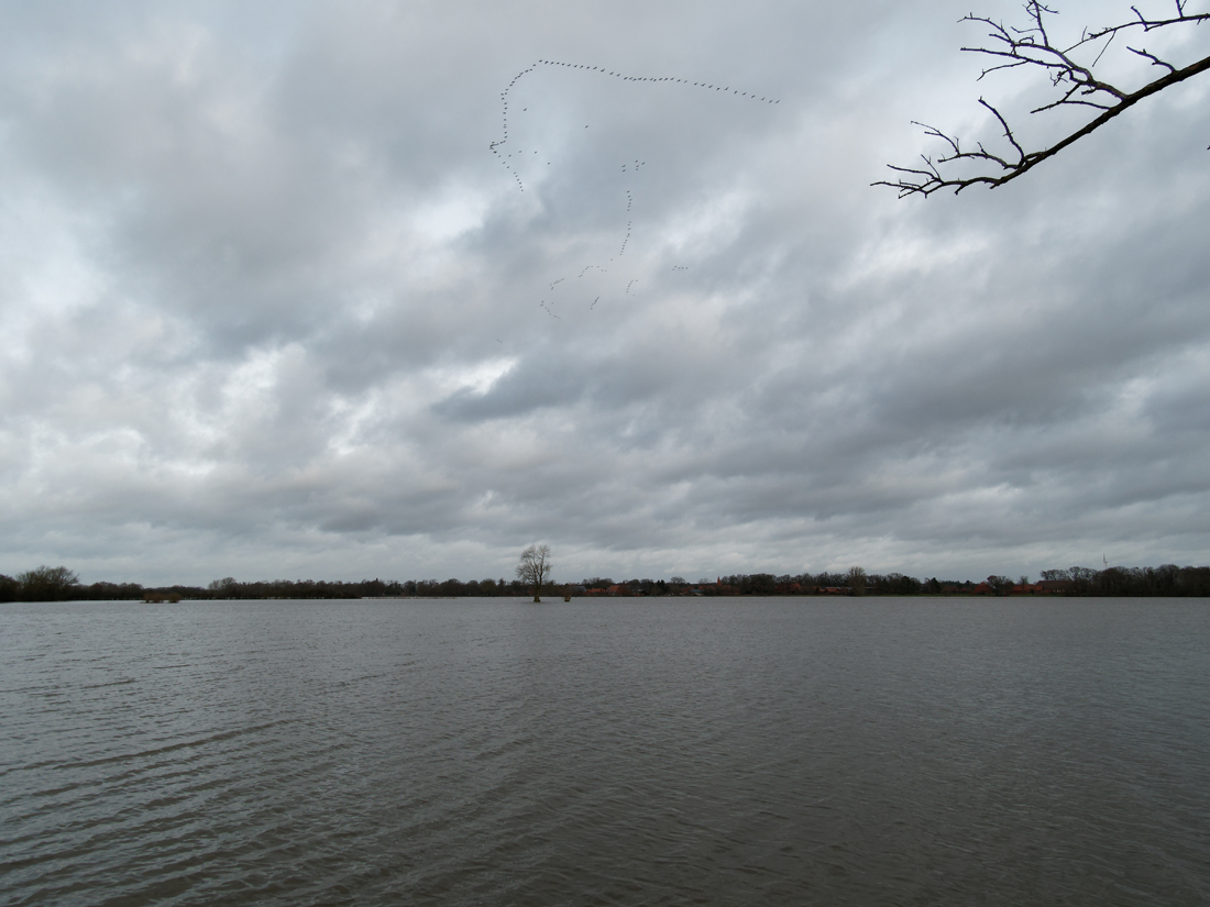 Geestrand mit Vogelzug.jpg