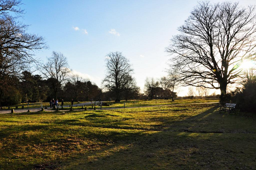 Gegenlicht England