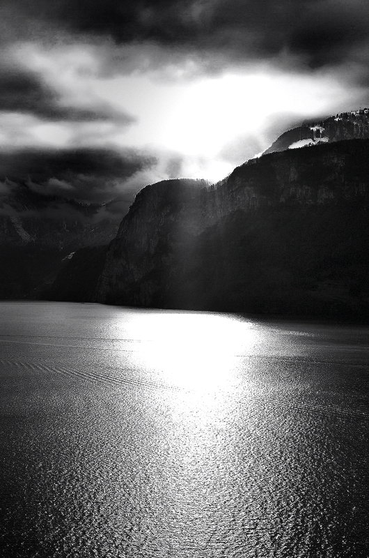 gegenlicht in SW