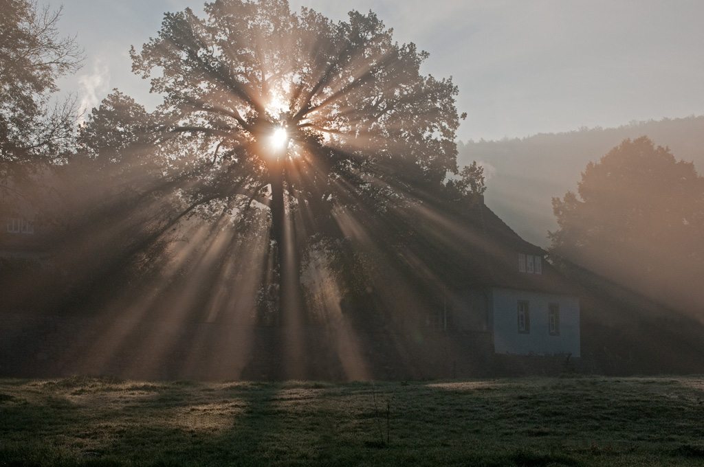 Gegenlicht