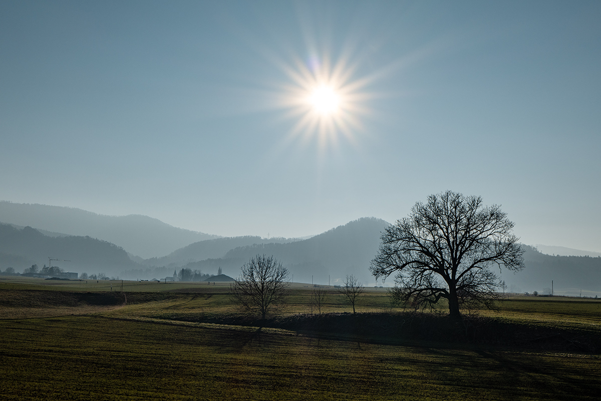 Gegenlicht_Q1001600_12.jpg