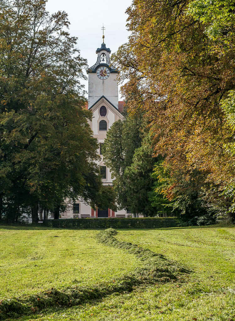 gemähte Wiese Hohenburg