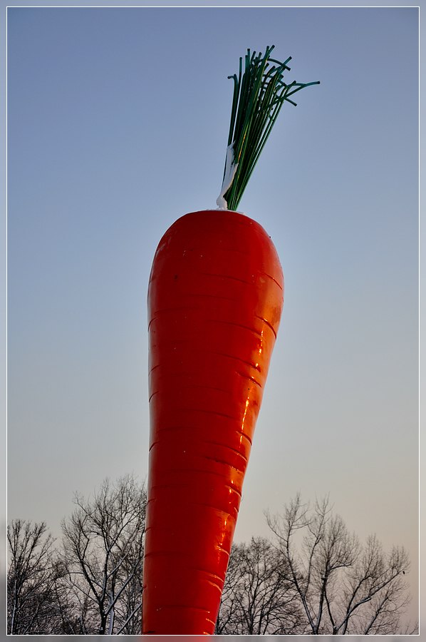 Gemüse in Ostfildern im Abendlicht - Kunst? ;)