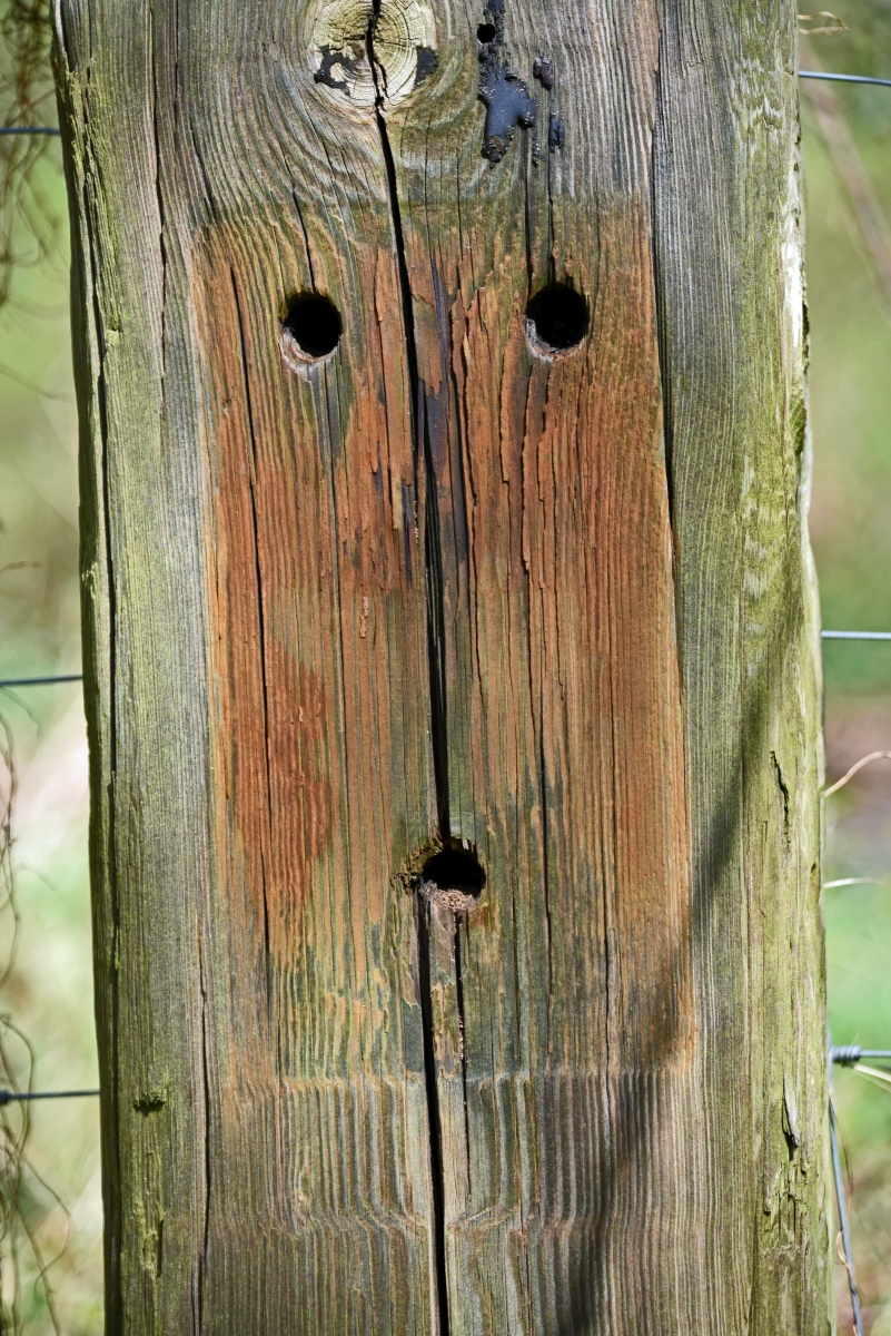 gesicht.jpg
