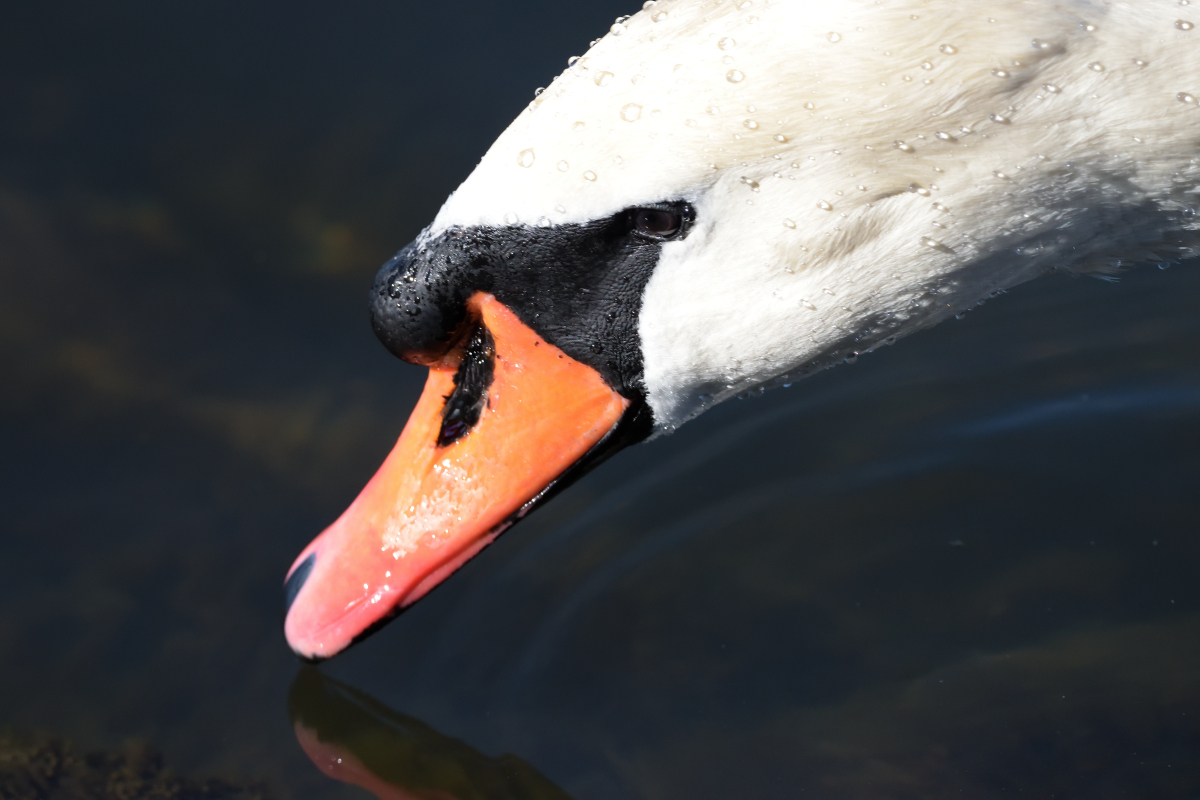 Gesichter_00001DSC_0992.jpg