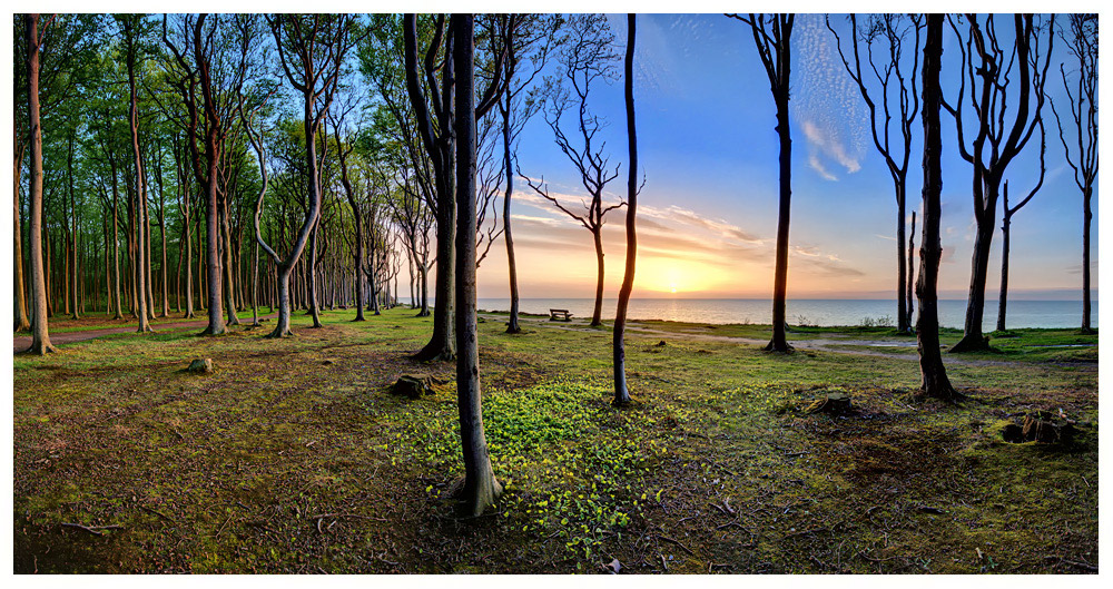 Gespensterwald Pano 2