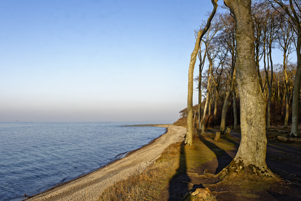 Gespensterwald1